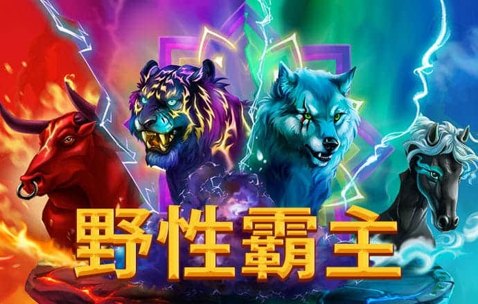 k体育官网入口登录